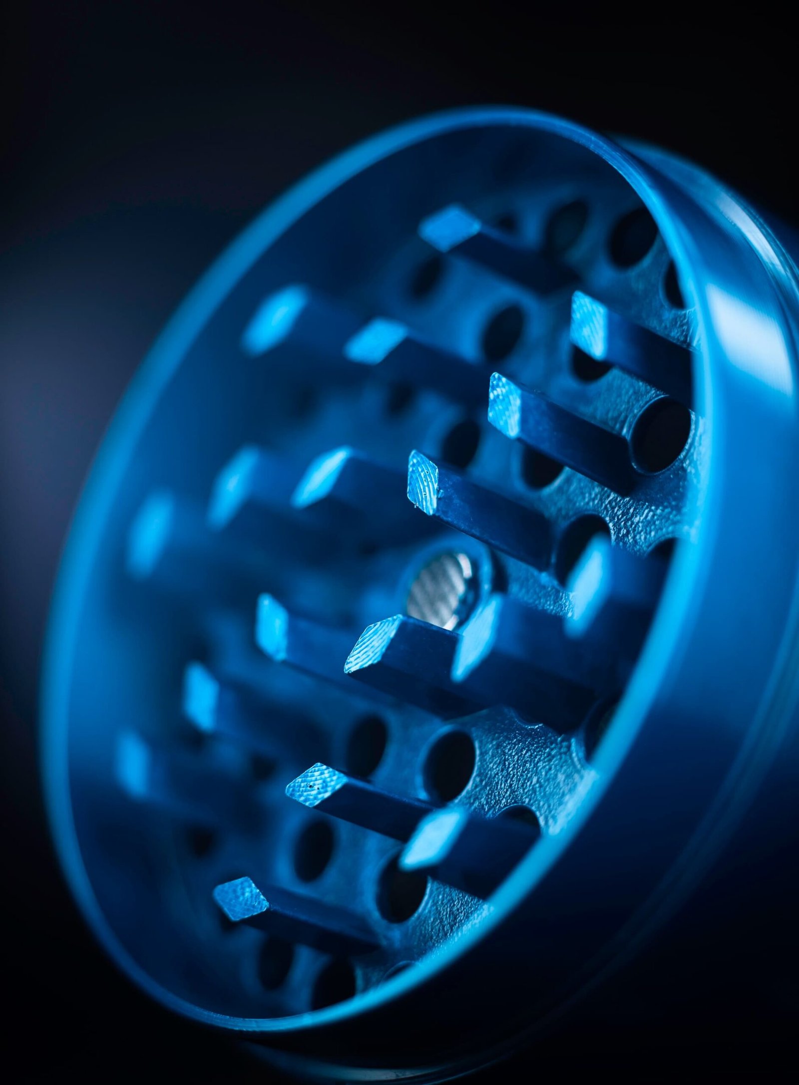 7T7A7637-1-scaled-1.jpg